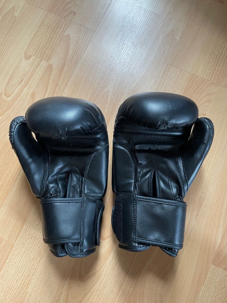 Boxing Gloves by Lions