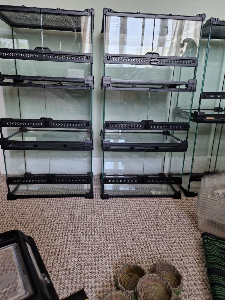 Bulk lot glass enclosures 10 tanks reptiles pets spiders inverts insects tarantula breeders livefood