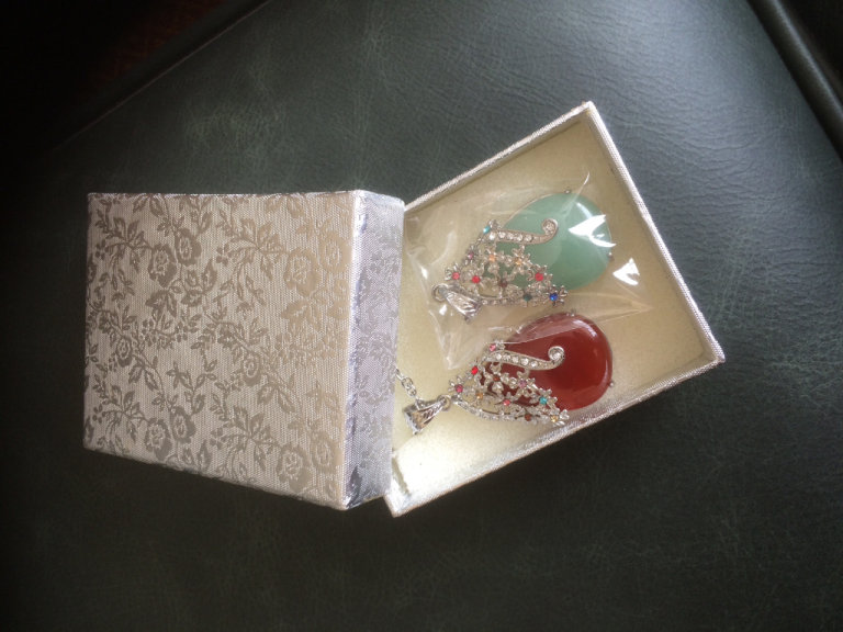 2 BEAUTIFUL BRAND NEW PENDANTS & CHAIN