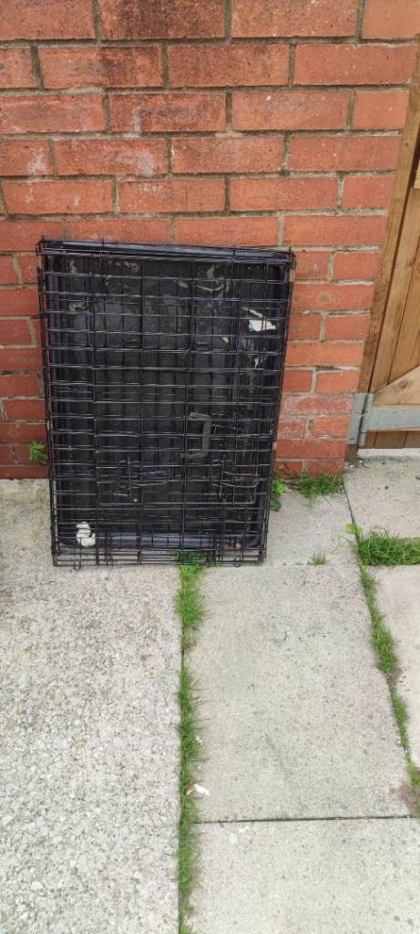 Dog cage 