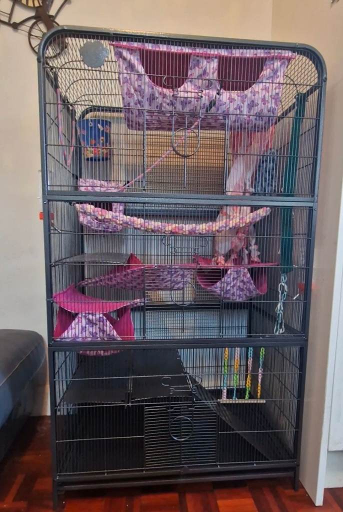 XL 5 level small animal setup brand new 