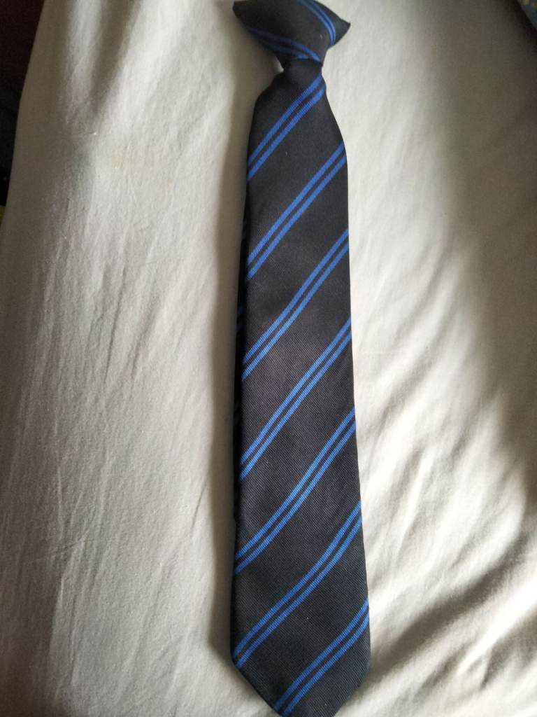 Smart Black Clip-on Tie with Blue Stripes – Good Condition