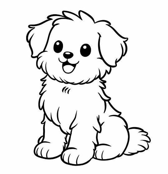 Test ad for pay and ship 