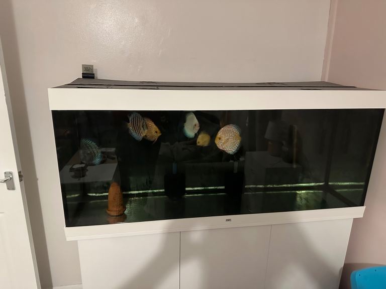 Juwell 450 litre discus 