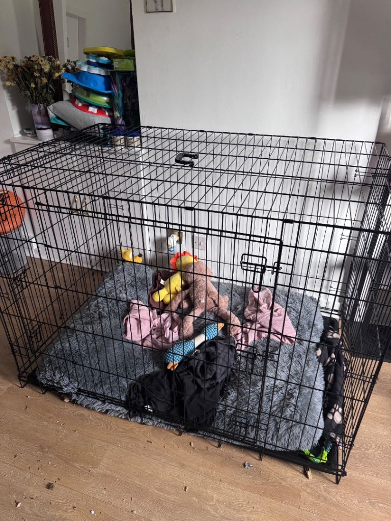 XXL 54-Inch Double Door Dog Crate (Collapsible) - just the cage itself