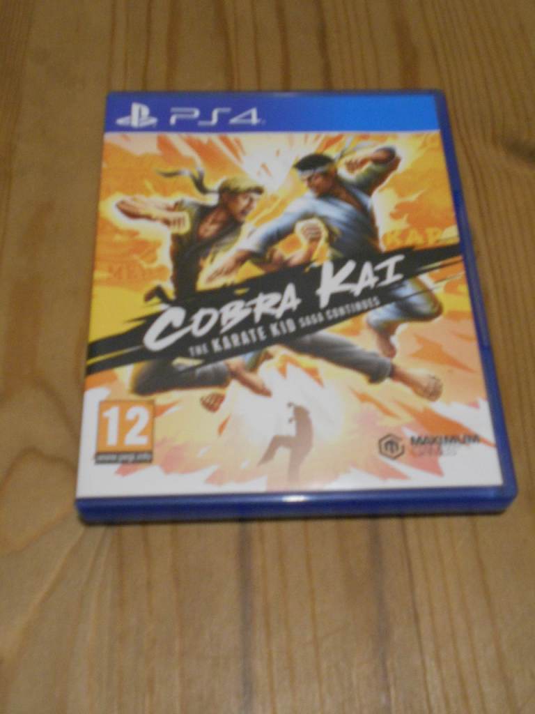 Cobra Kai : The Karate Kid Saga Continues PlayStation 4 Game 