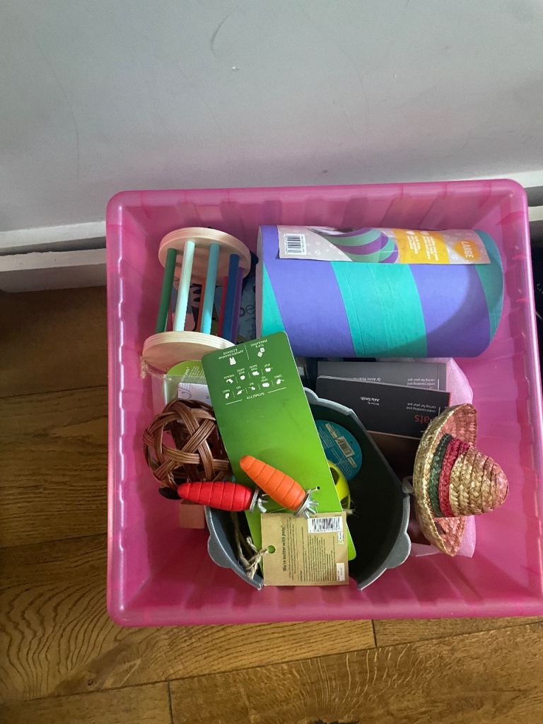 Small animal toys 