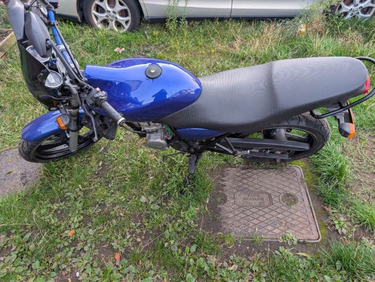 image for MZ, RT, 2004, 124 (cc)