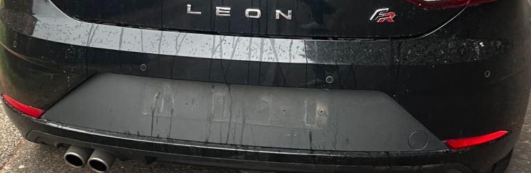 **  Siat Leon fr****