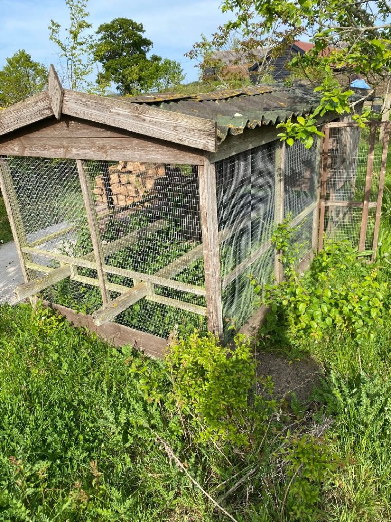 Chicken Coop