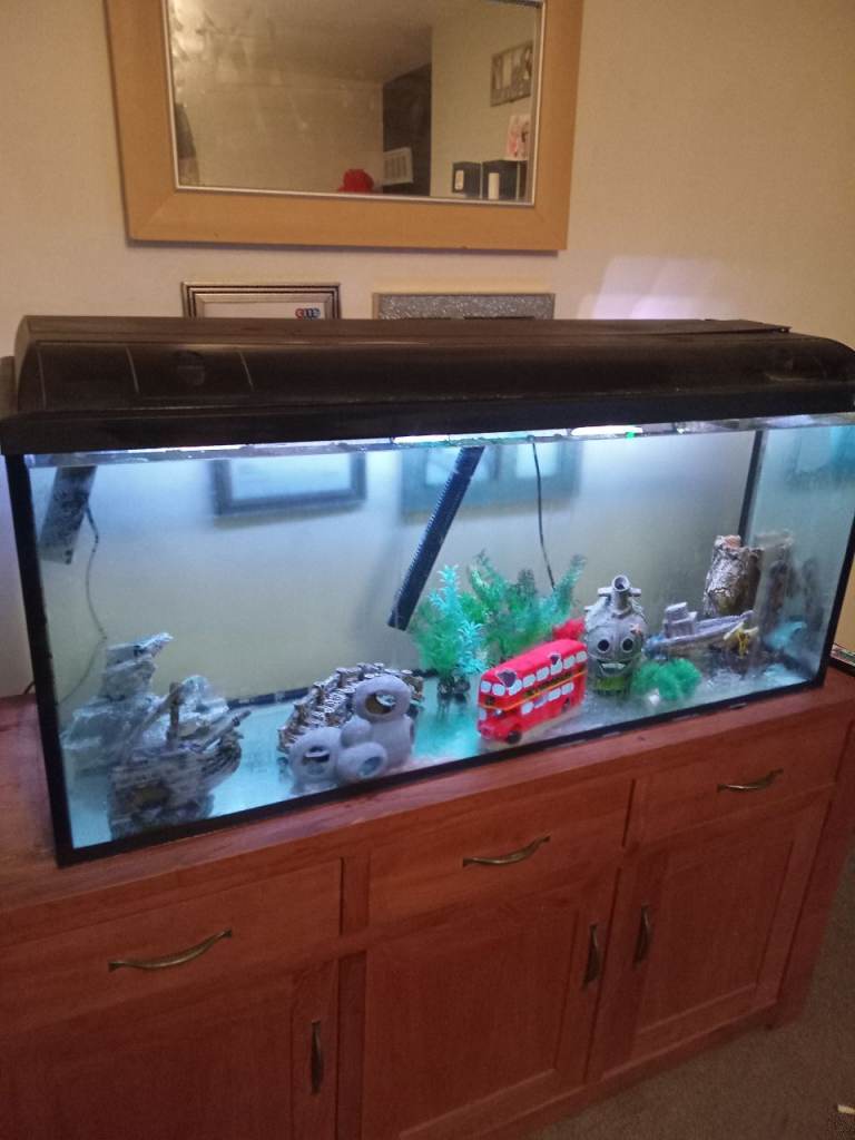 4ft fish tank 