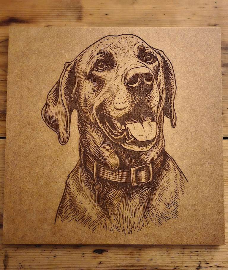 Laser engraved pet portraits