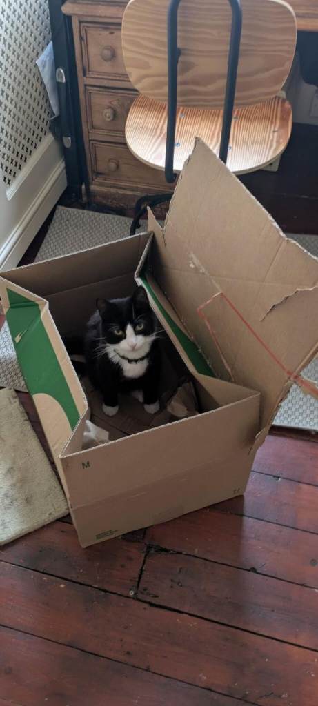 WANTED! Looking for Studio/1 bed for me in West Hampstead