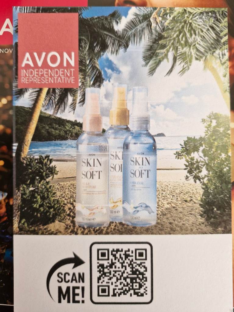 Avon Brochure covering around G4 and surrounding areas 
