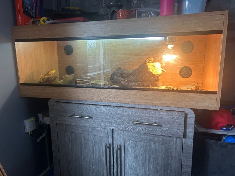 Vivarium 4ft 2ft 2ft