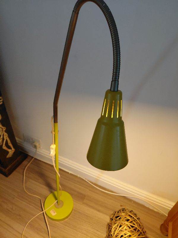 Adjustable Green Floor Lamp with Flexible Neck – Good Condition