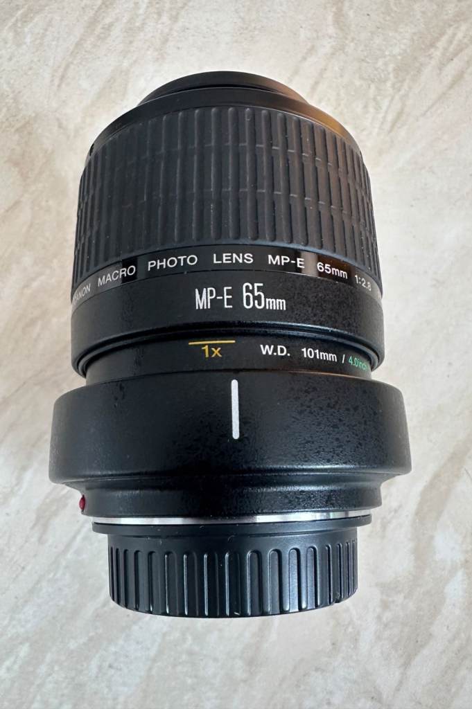 Canon MP-E 65mm f2.8 1-5x Macro Lens