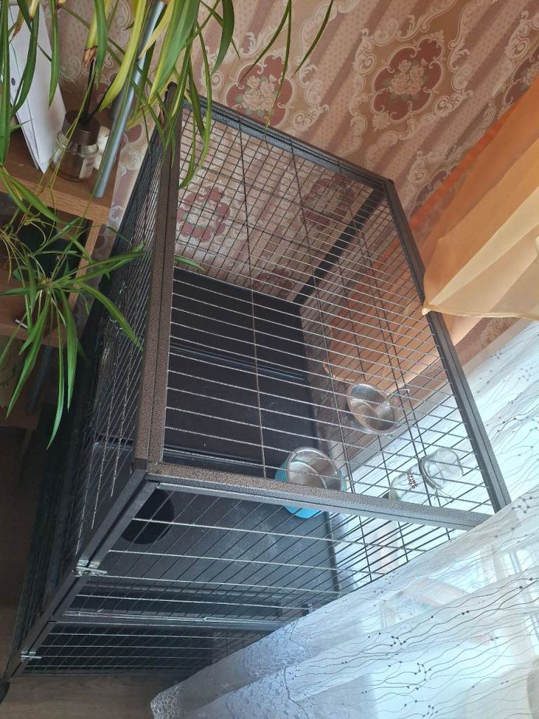 Ferret cage