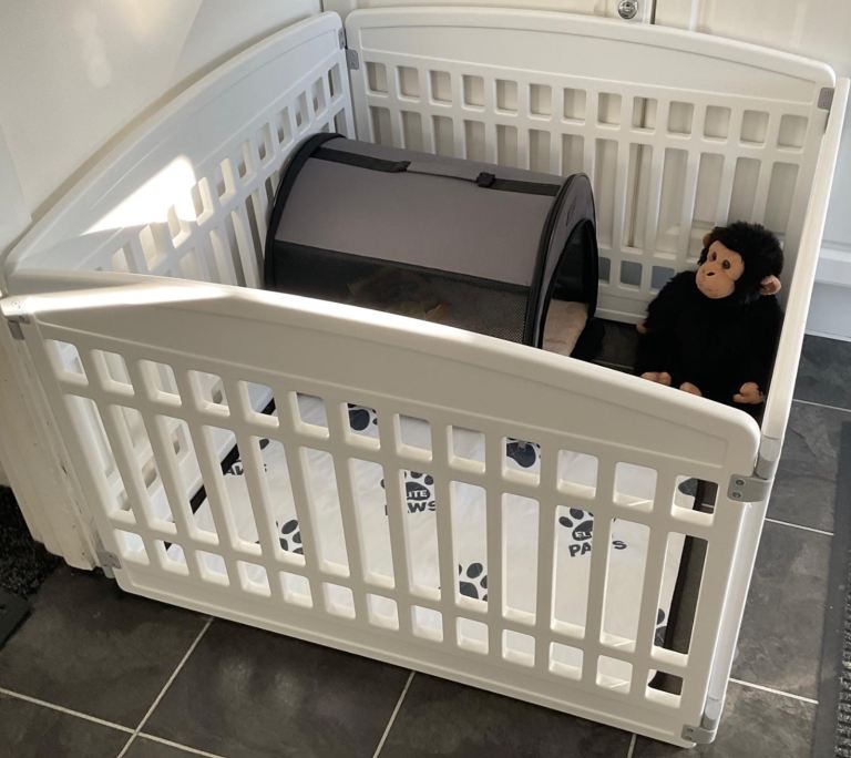 Doggie Playpen