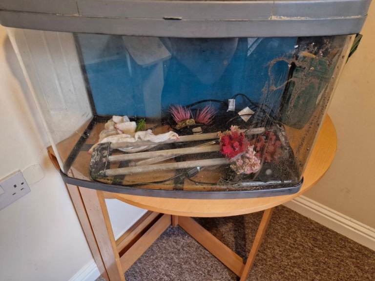 Small fish tank with unit 