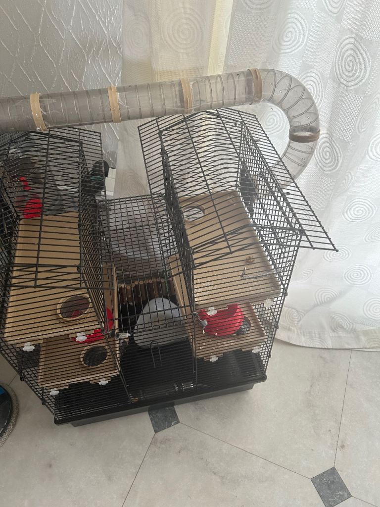 Hamster hotel and accessories 