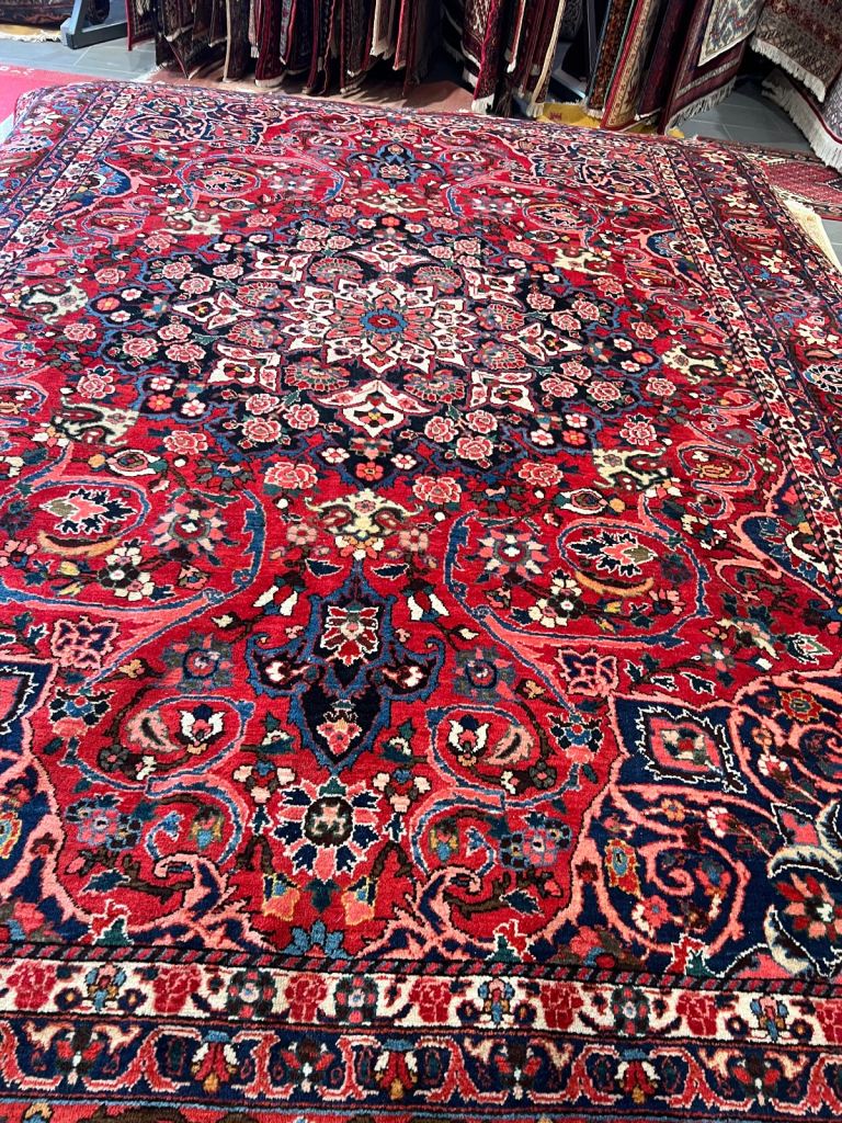 Persian Bakhtiari rug 260x365cm 