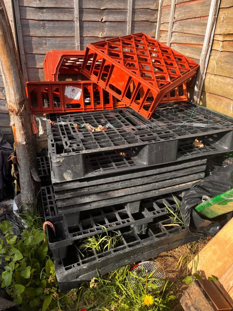 Pallets to give away
