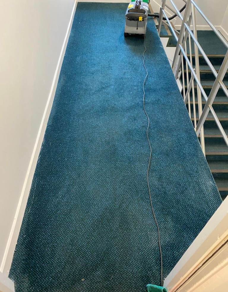 AHC Pristine Cleaning - Domestic Cleaner Service With Next Day Availability!