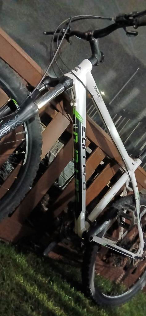 Mans carrera bike £100