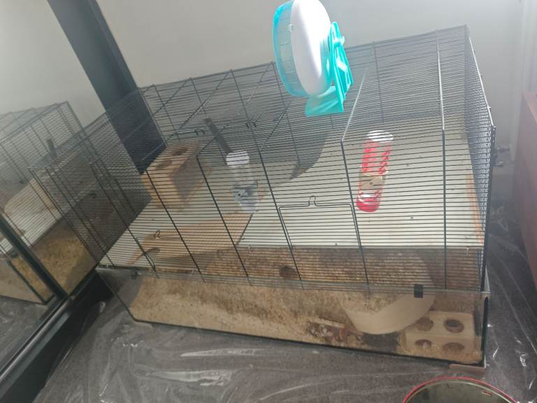 Gerbil hamster cage 98 cm wide 50cm deep and 60cm high 