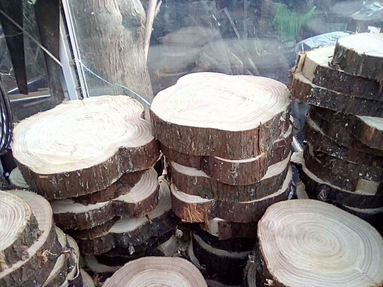 Log slices 