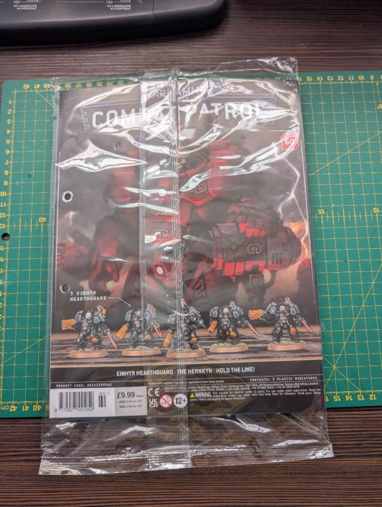 Warhammer Age of Sigmar Einhyr Hearthguard models (5 miniatures) 