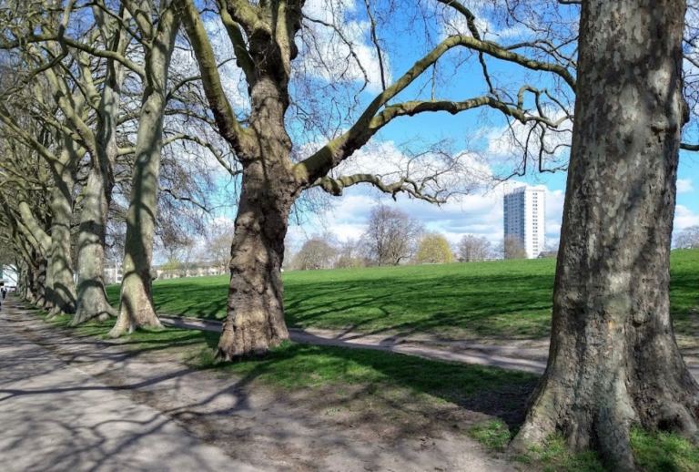 Flat 30 secs from Hackney downs and 1 mins from station 