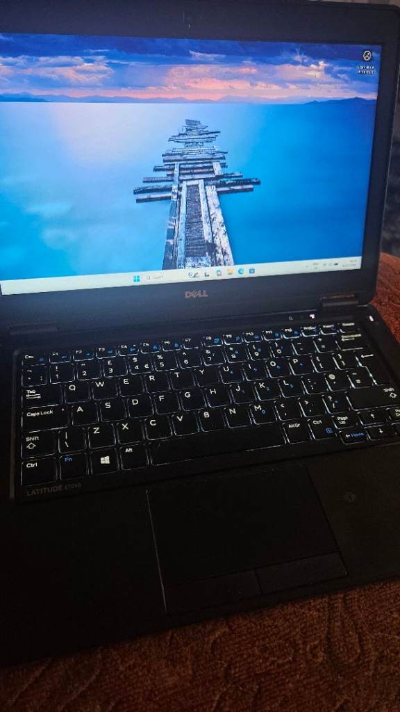 Dell latitude E7250 Windows 11