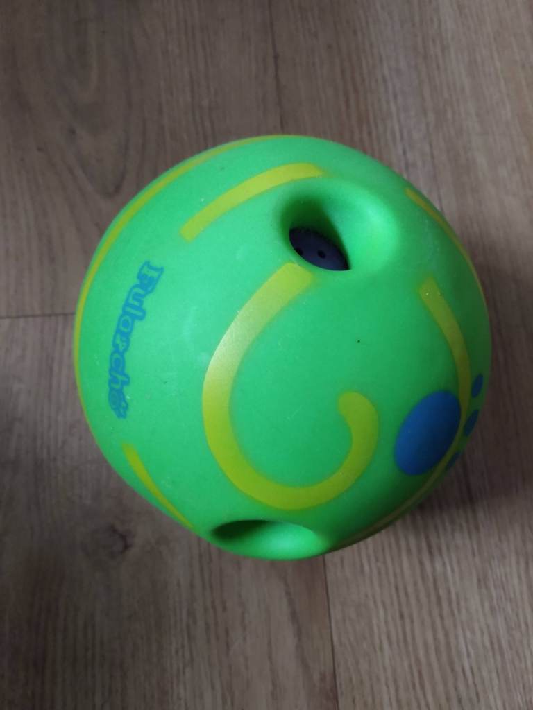 Interactive large dog toy ball