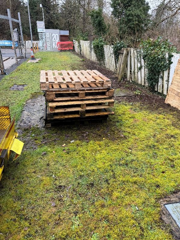 Wooden Pallets Free to Collect 