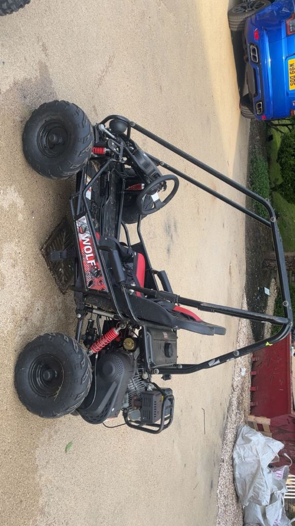 Quadzilla buggy 200cc jr