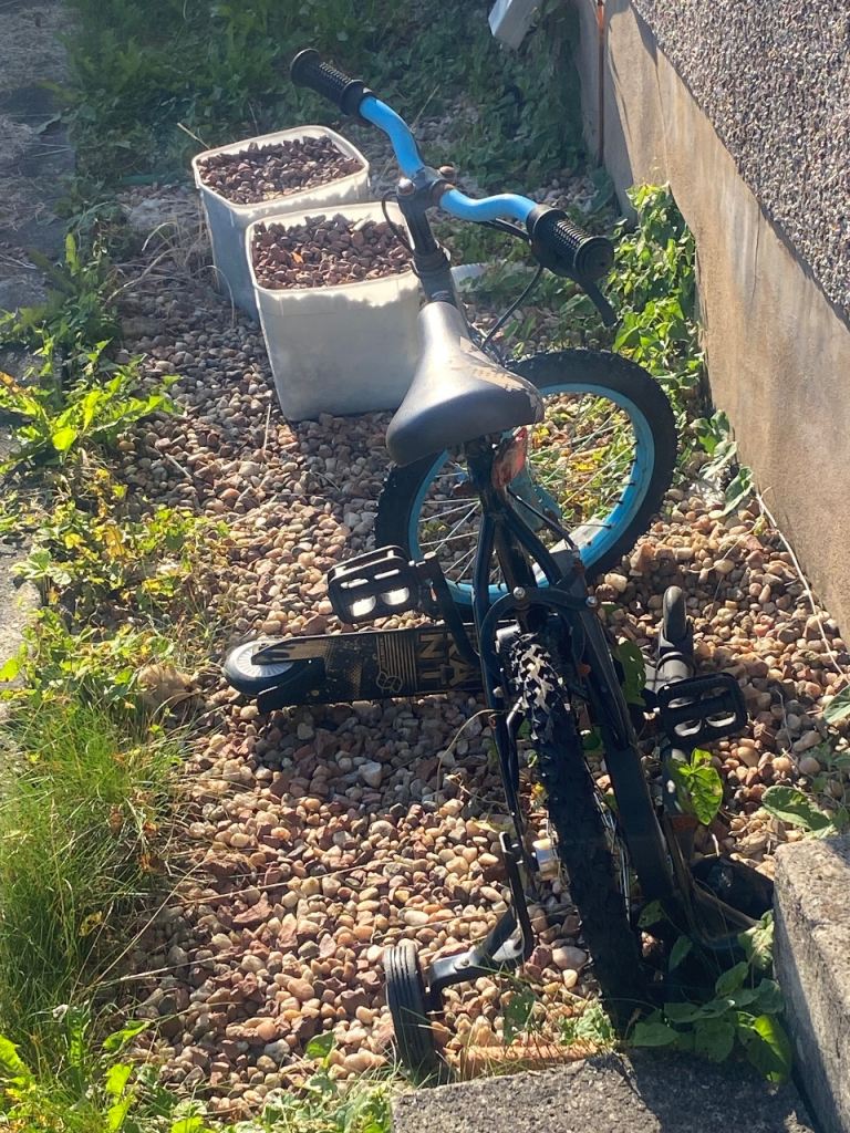 Kids Black Bike with Blue Accents and Stabilisers free