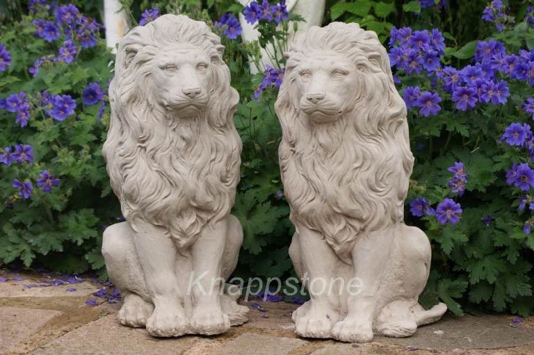 A great pair of large lions