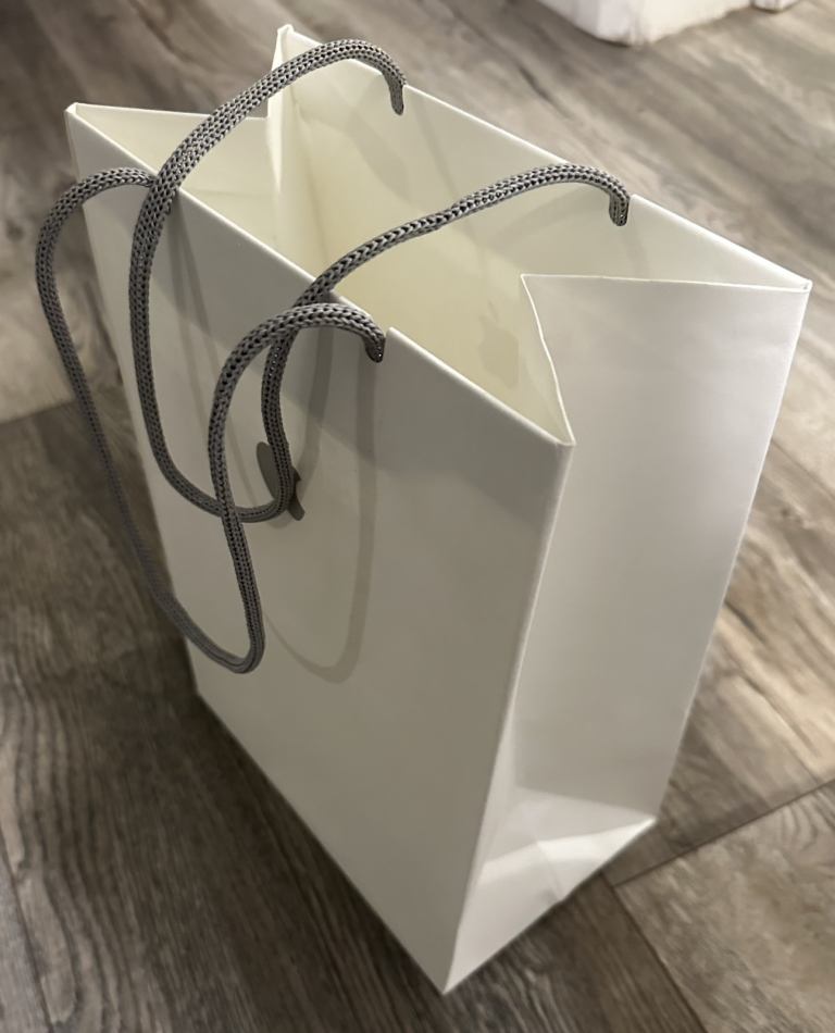 Apple Paper Bag Little iPhone , iPad , AirPods Small Genuine New