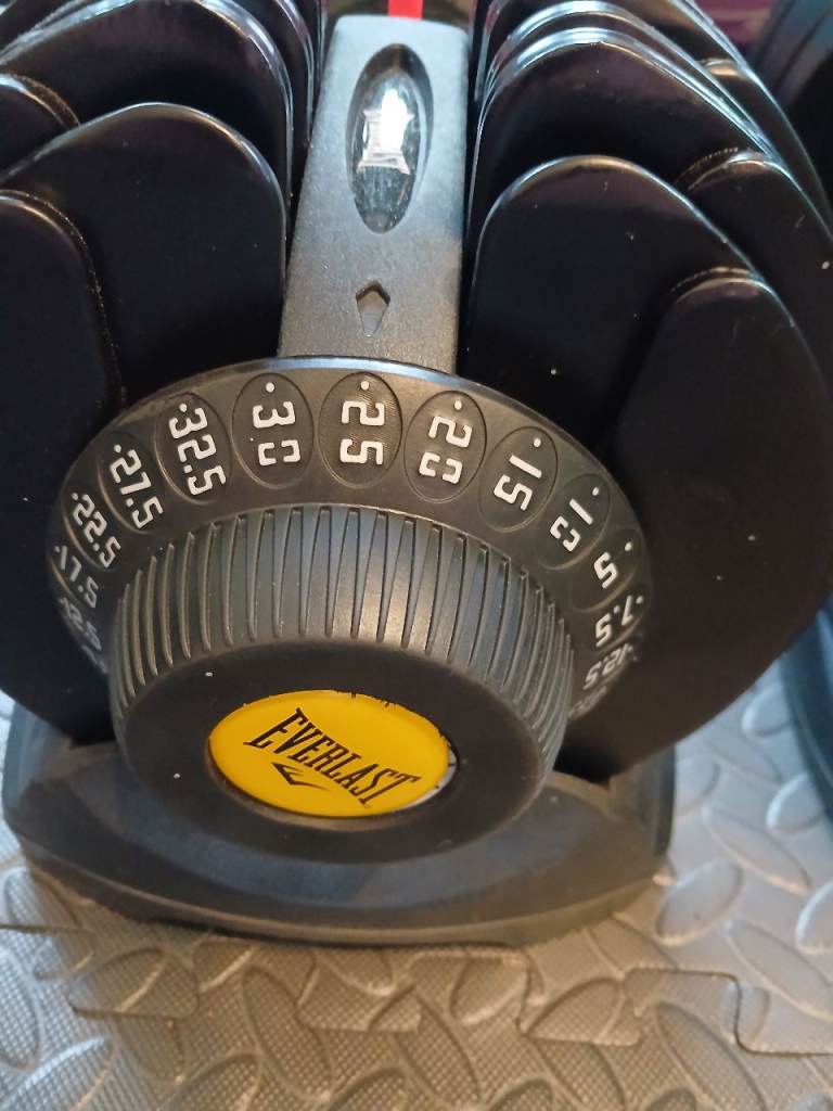 32.5kg adjustable dumbbells 