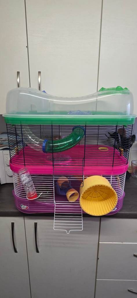Hsmster play cage and accessories 