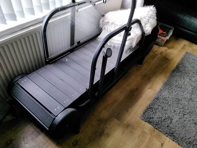 Dog treadmill