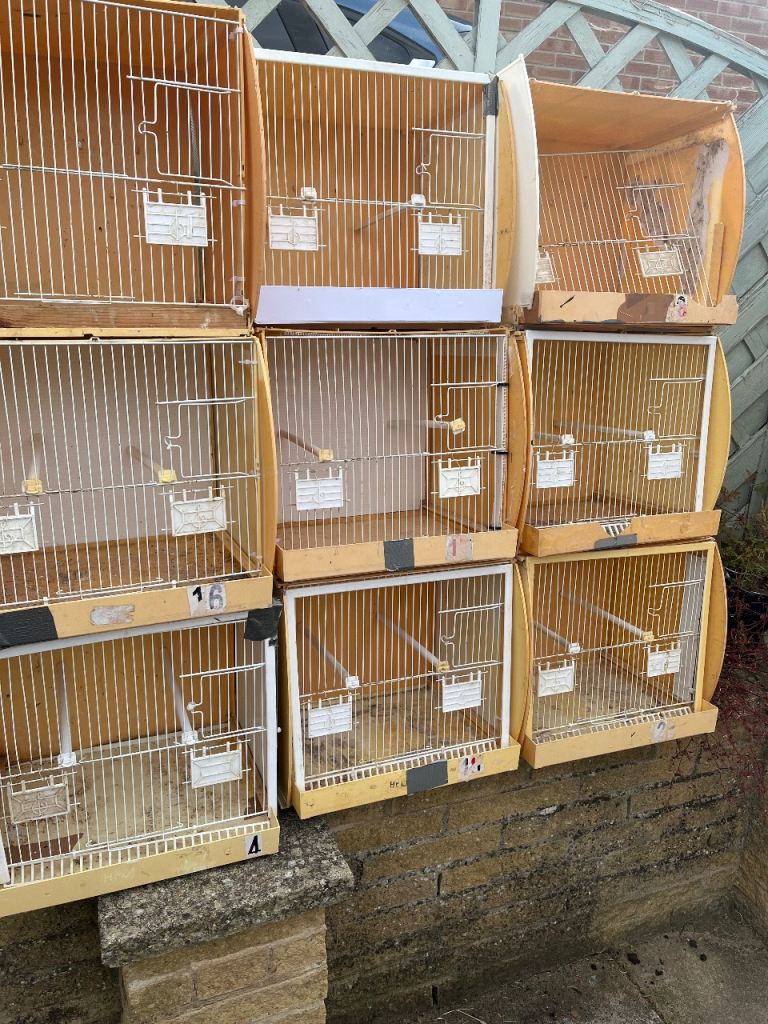 Bird cages x 9