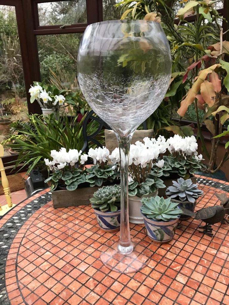 Giant Wineglasses