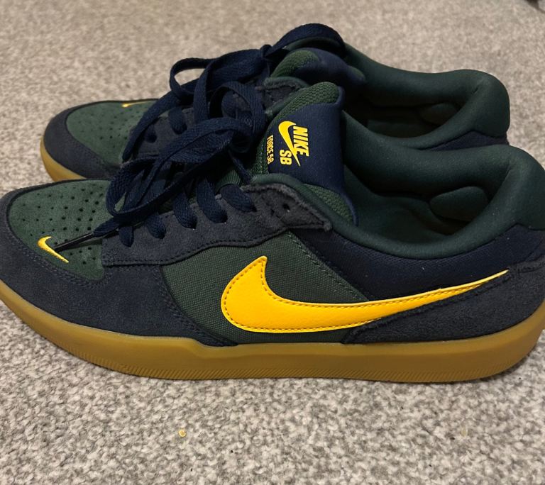 Nike SB force 58