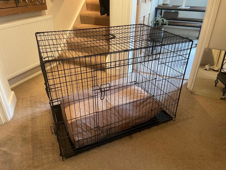 XL Ellie Bo Dog Crate with bed and cover