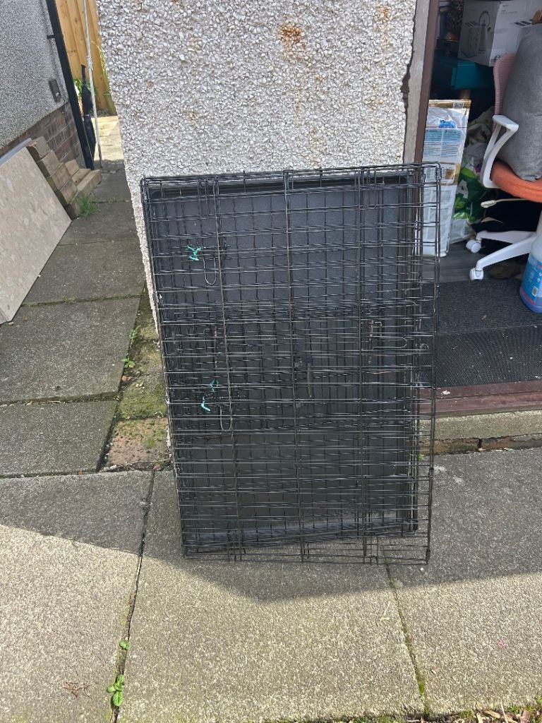 dog cage 
