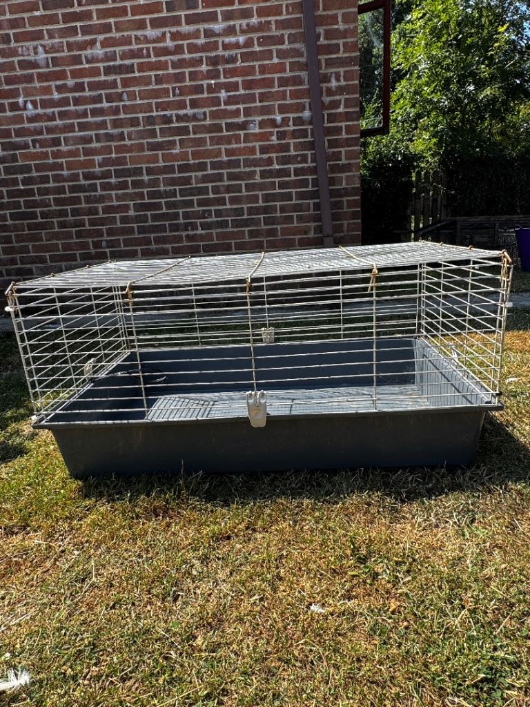 Guinea pig cage with accessories 
