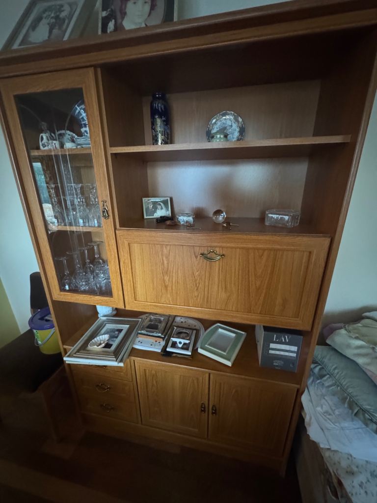 Wooden Display Cabinet with Storage and Shelves